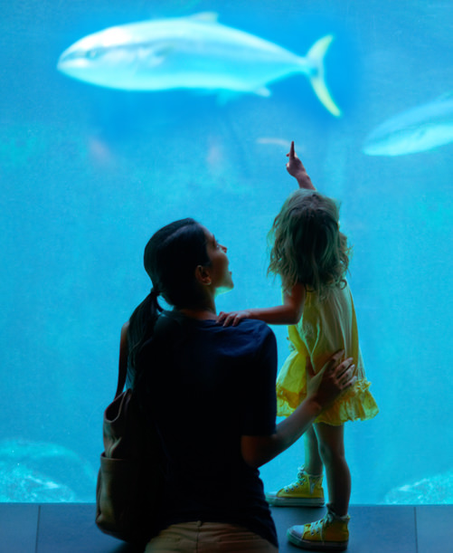 aquarium-pour-les-enfants